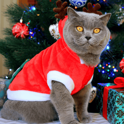 Santa Christmas Pet Costume Warm Jacket for Small Dogs Cats Winter Outfit Holiday Clothing