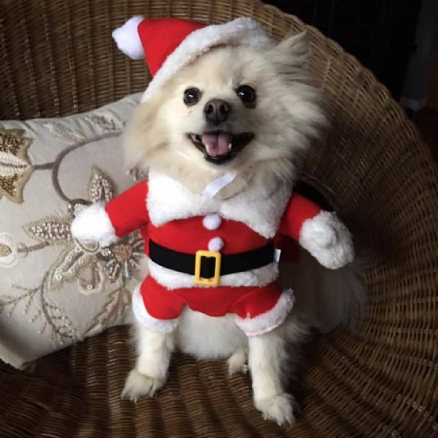 Christmas Pet Santa Claus Costume Warm Jumpsuit Hoodie for Dogs Cats Winter Outfit
