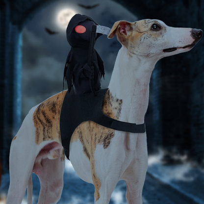 Dark Knight Pet Costume Dog Cat Halloween Cosplay Outfit Cute Rider Shirt for Small Large Pets