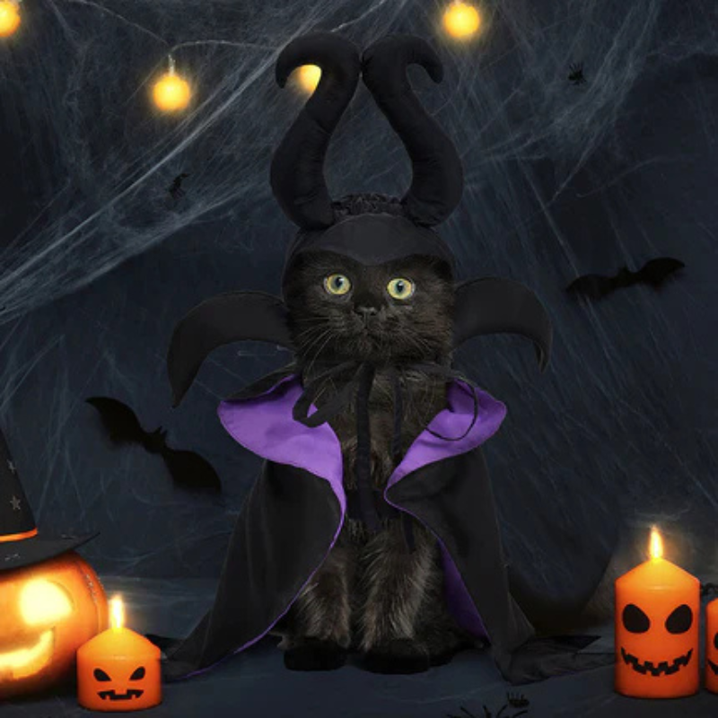 Pet Costume Cloak Horned Hat for Cats Dogs Witch Wizard Sorceress Black Purple Halloween Cosplay