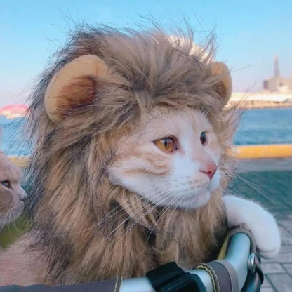 Lion Mane Wig Puppy Kitten Realistic Funny Halloween Cosplay Pet Costume Dog Cat Outfit