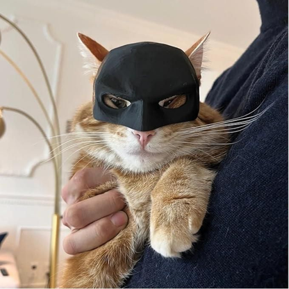 Pet Cat Dog Mask Half-Face Black Bat Handmade Adjustable Funny Halloween Cosplay Outfit Costume