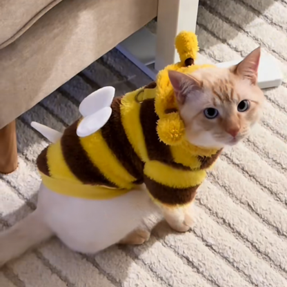 Plush Teddy Bear Pet Costume Hat Outfit for Cats Dogs Small Medium Large Halloween Cosplay Scary