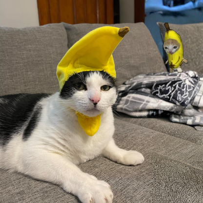 Cotton Cap Dogs Cat Hat Decorative Party Cosplay Halloween Costume Small Medium Large Outfit