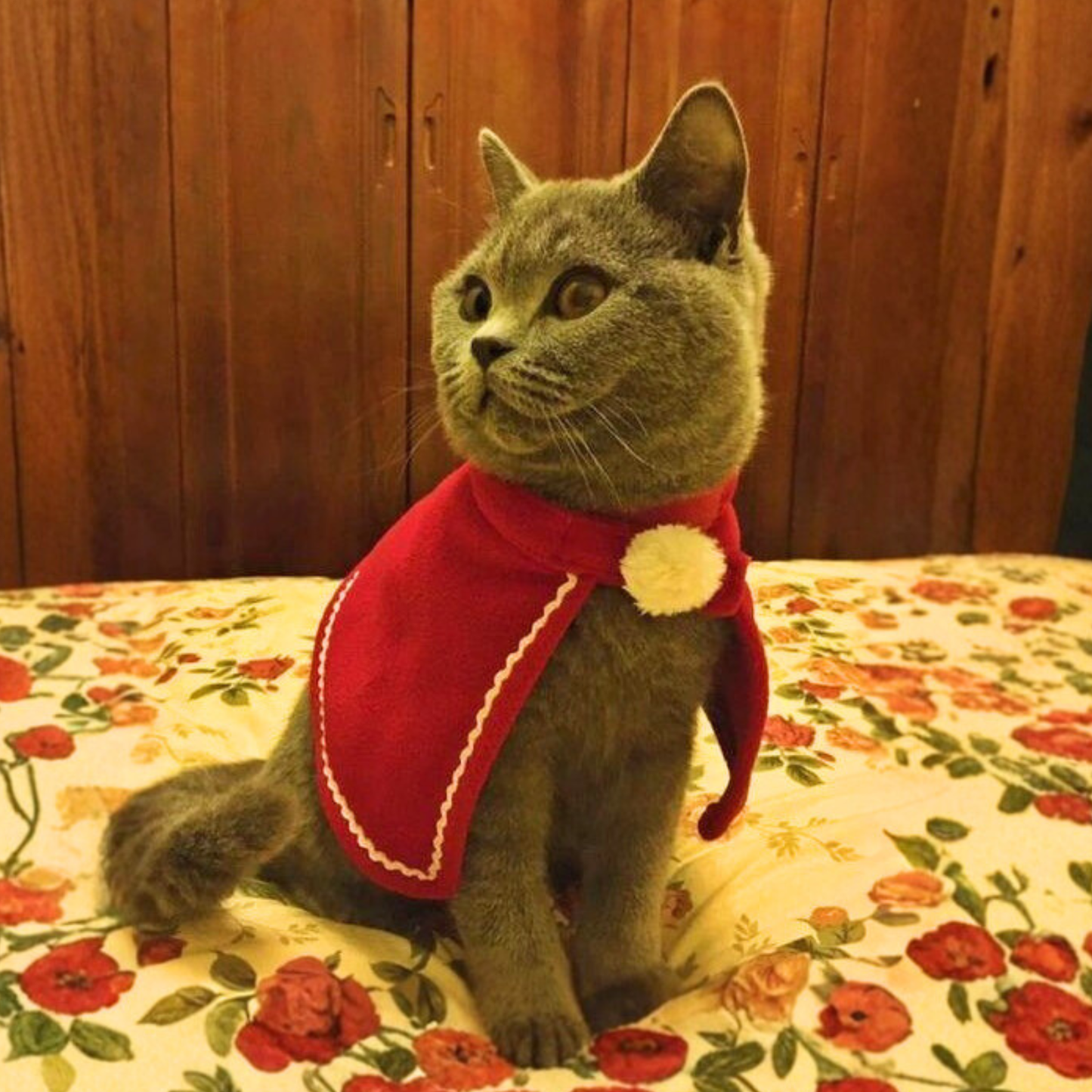 Christmas Elk Pet Costume Warm Cloak Hat Set for Small Dogs Cats Winter Hoodie Outfit