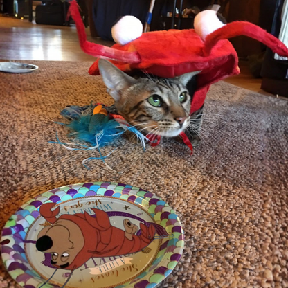 Crayfish Pet Costume Cat Hat Dog Clothes Autumn Winter Transform Outfit Halloween Cosplay