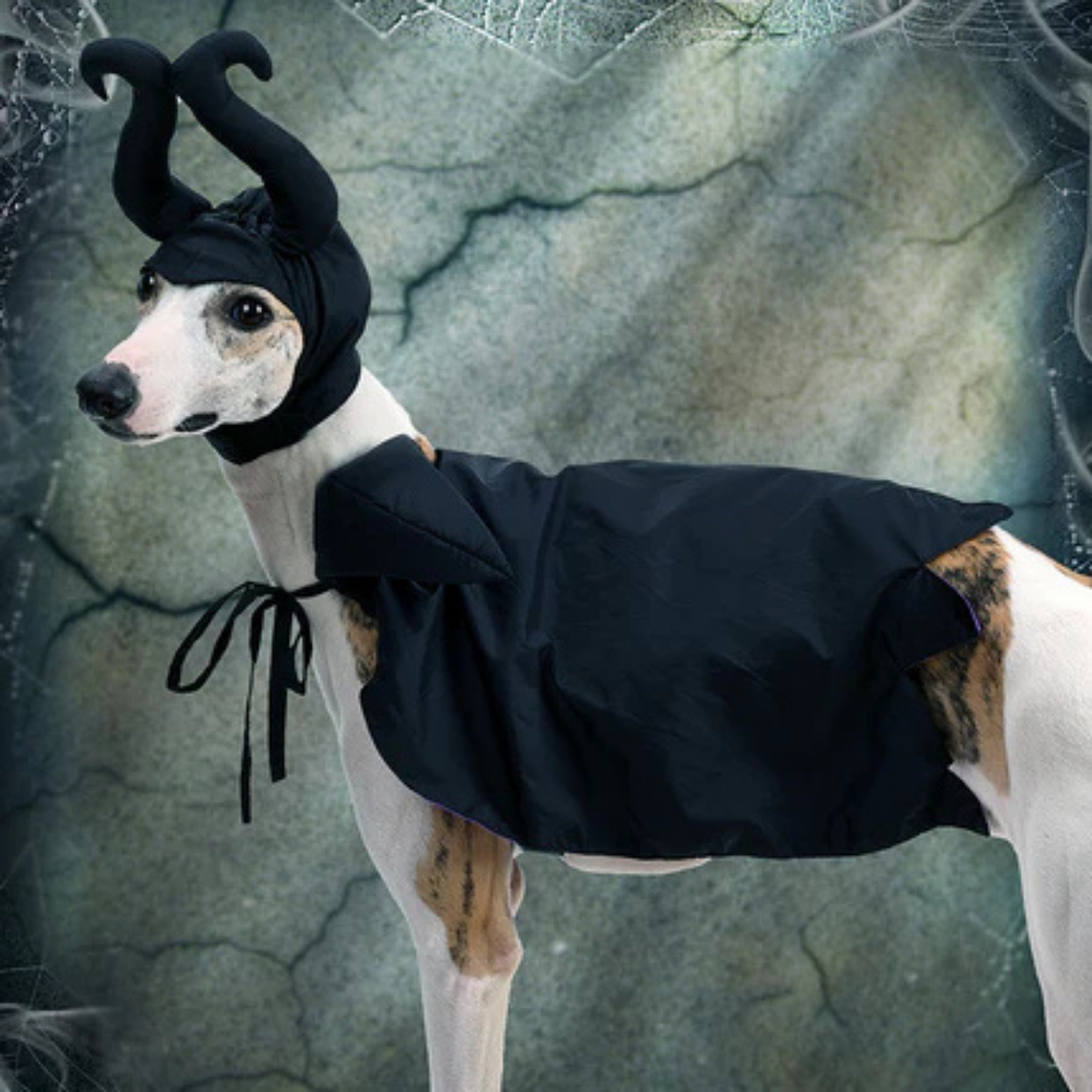 Pet Costume Cloak Horned Hat for Cats Dogs Witch Wizard Sorceress Black Purple Halloween Cosplay