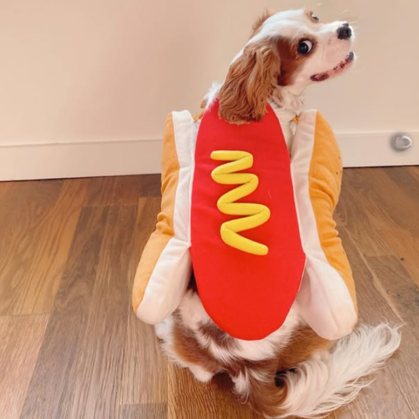 Funny Pet Costume Warm Sausage Hotdog Outfit For Cat Dog Halloween Christmas Party Cosplay