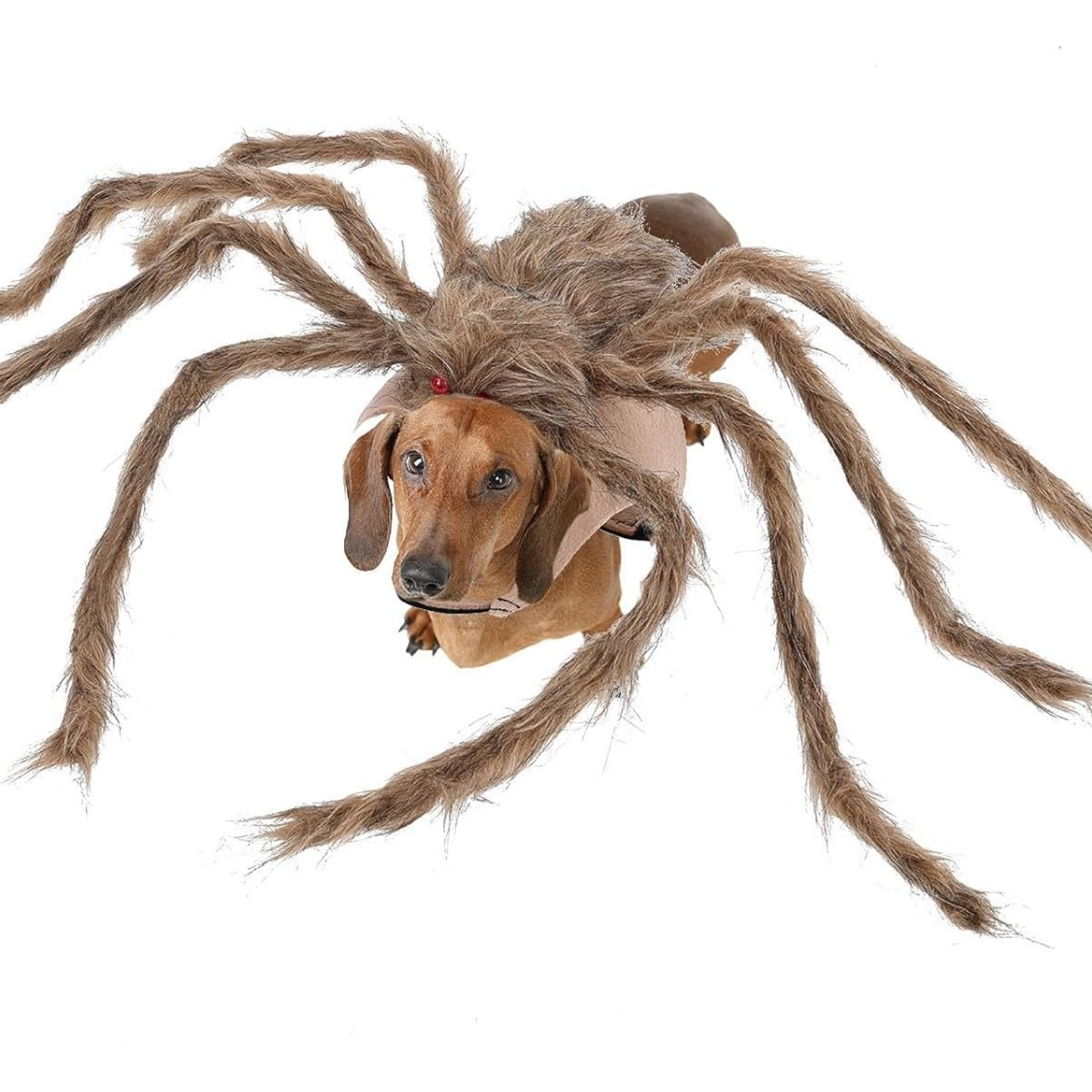 Big Spider Pet Costume for Dogs Cats Funny Halloween Cosplay Outfit Cute Pet Shirt