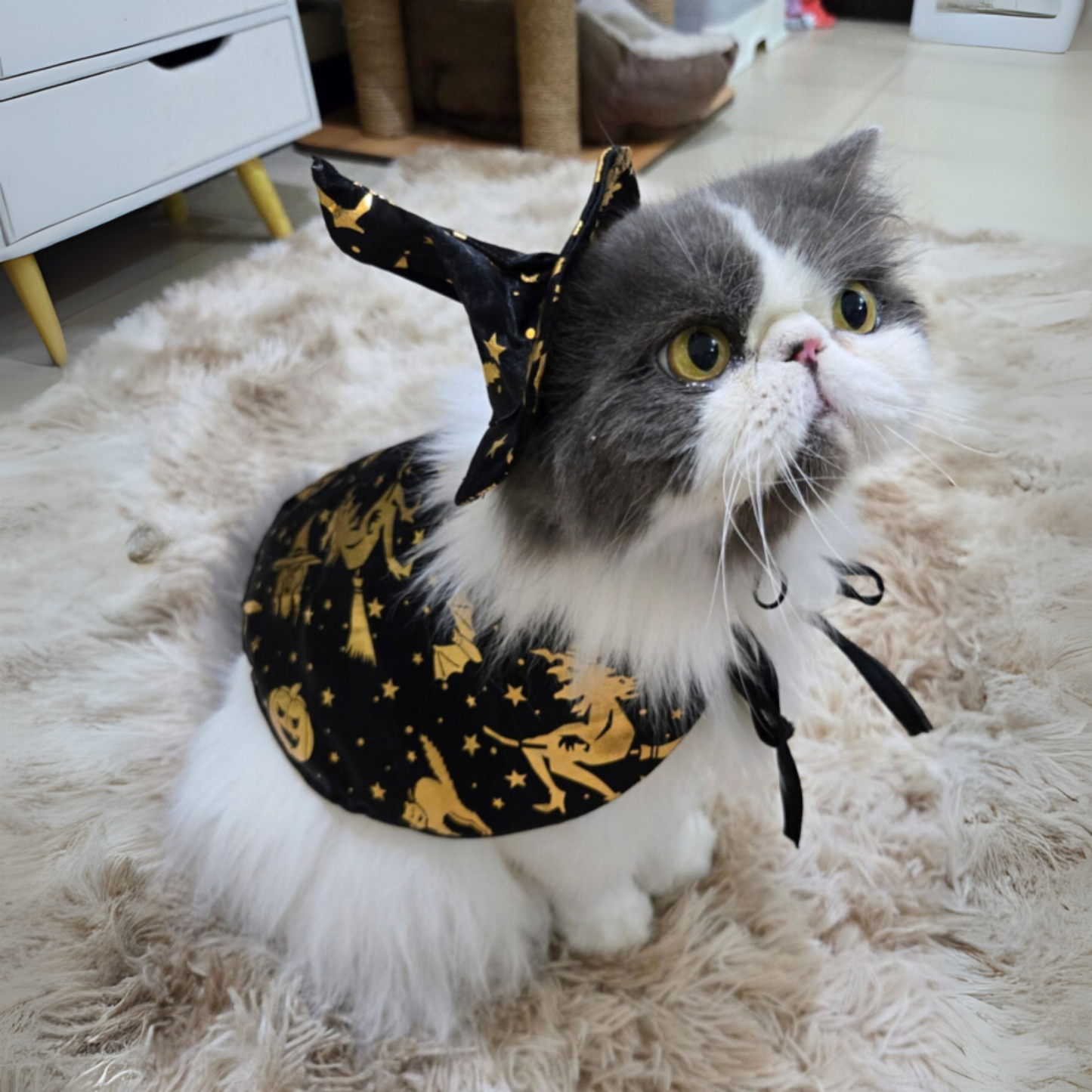 Witch Cloak Hat Set For Cats Dogs Wizard Theme Halloween Party Pet Costume Cosplay