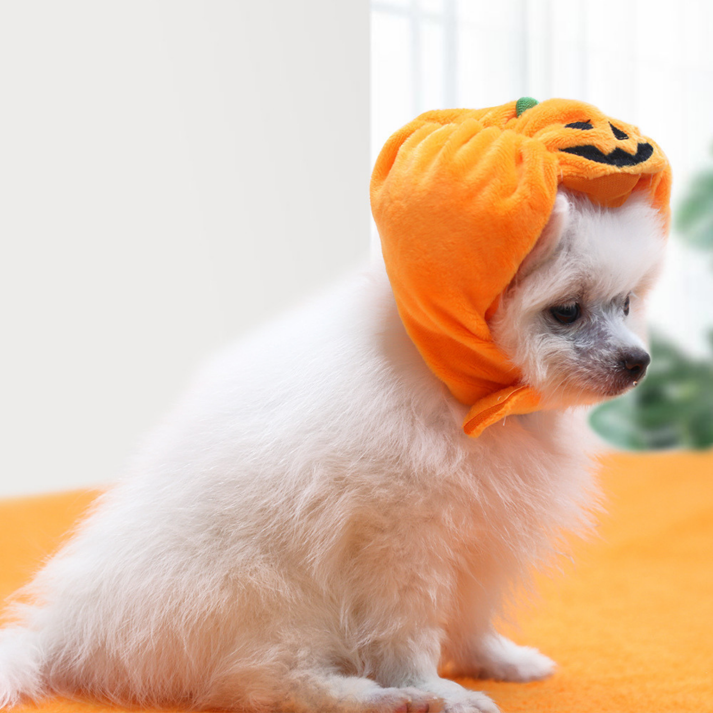 Pet Cat Dog Pumpkin Hat Halloween Ghost Festival Decoration Headwear Supplies Costume