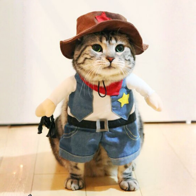 Funny Pet Cowboy Costume Role Play Suit Cat Dog Halloween Christmas Party Outfit