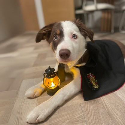 Embroidered Pet Cloak Cat Dog Costume Wizard Cape Halloween Outfit Cosplay Clothes