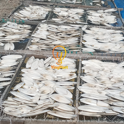 Natural Large Ocean Cuttlefish Bone Pack 100g, Friendly Calcium Supplement For Birds | Parrot | Parakeet | Casting Sterling Silver| Jewelry Making