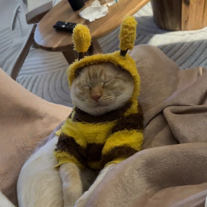 Plush Teddy Bear Pet Costume Hat Outfit for Cats Dogs Small Medium Large Halloween Cosplay Scary