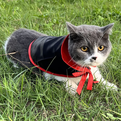 YingMart Halloween Pet Cloak Cat Dog Christmas Dressing – Transfiguration Pet Witch Cloak Cosplay Cape, Easy Fit Halloween Costume