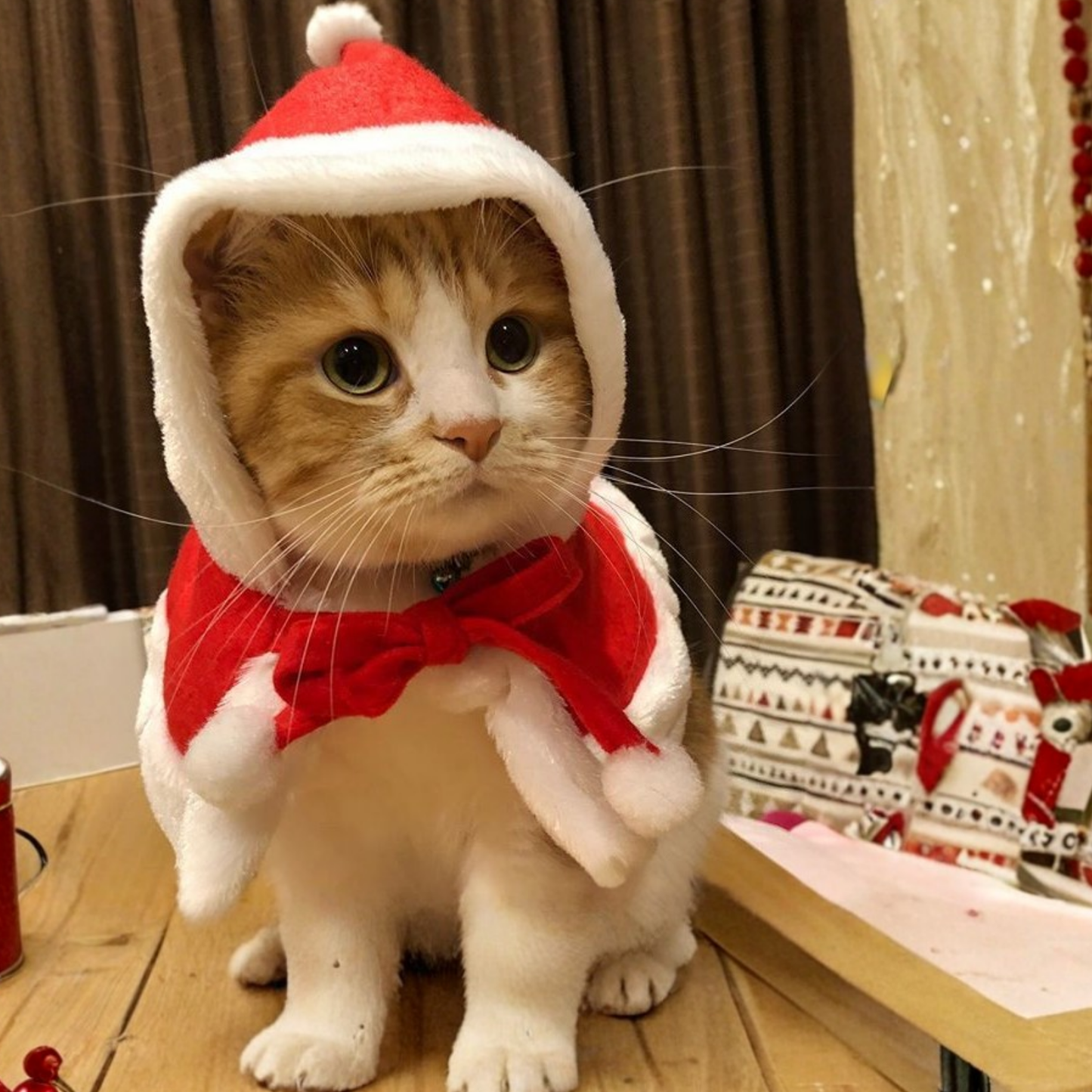 Christmas Pet Costume Hooded Cloak for Small Dogs Cats Warm Winter Outfit Holiday Clothes