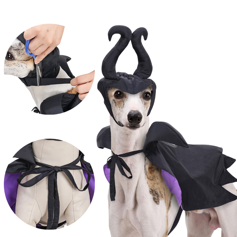 Pet Costume Cloak Horned Hat for Cats Dogs Witch Wizard Sorceress Black Purple Halloween Cosplay