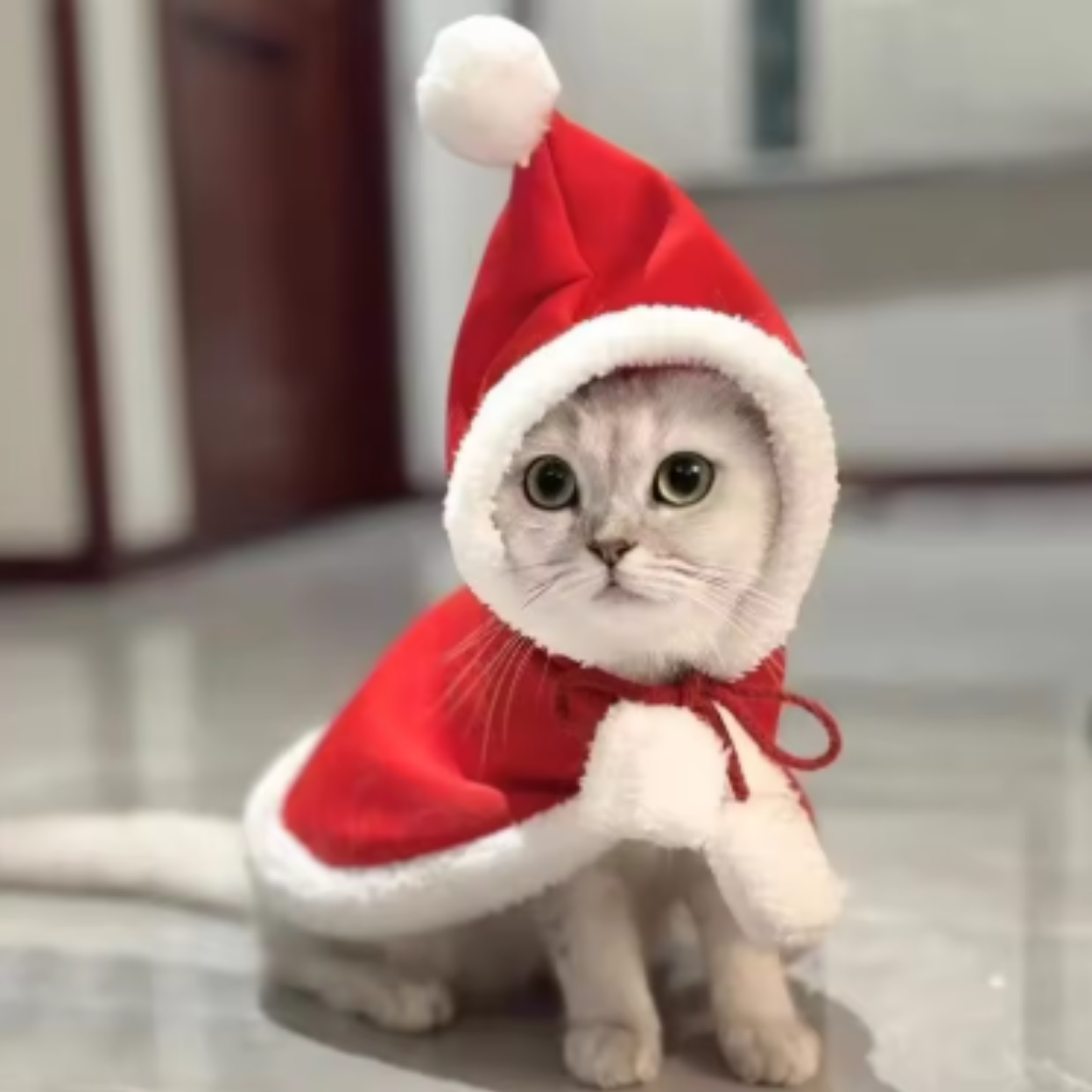Christmas Pet Costume Hooded Cloak for Small Dogs Cats Warm Winter Outfit Holiday Clothes