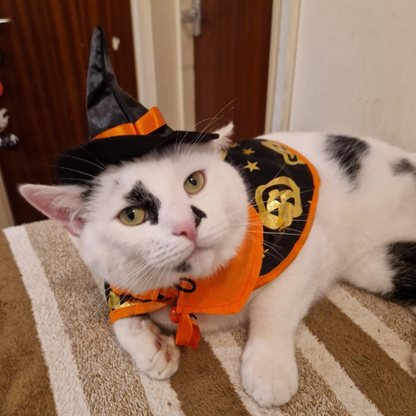 YingMart Halloween Pet Cloak Cat Dog Christmas Dressing – Transfiguration Pet Witch Cloak Cosplay Cape, Easy Fit Halloween Costume