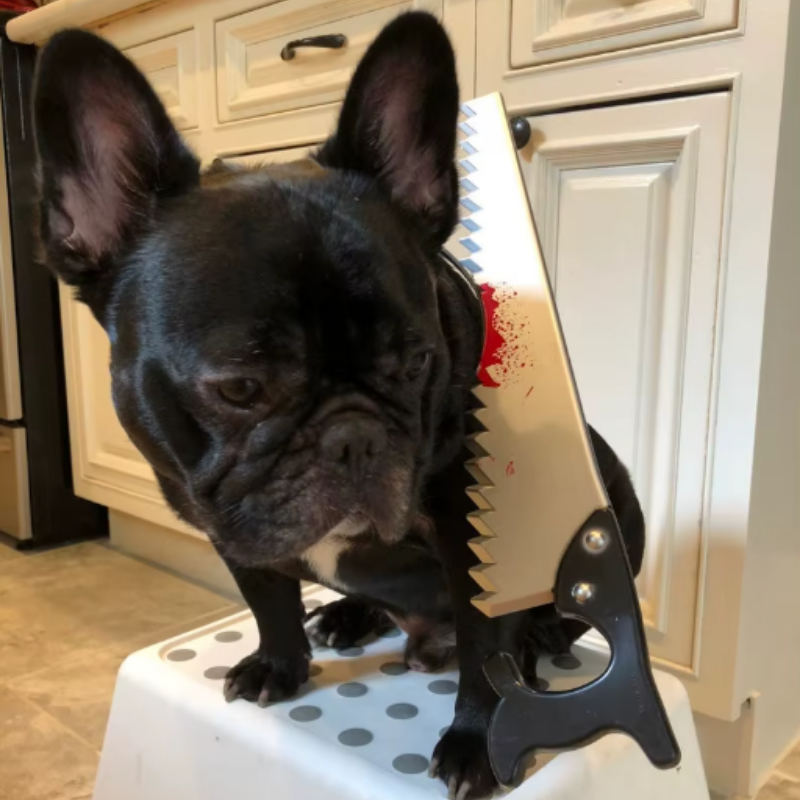 Headband Hat Prop for Dog Cat Funny Scary Horror Cosplay Halloween Christmas Pet Costume Small Medium