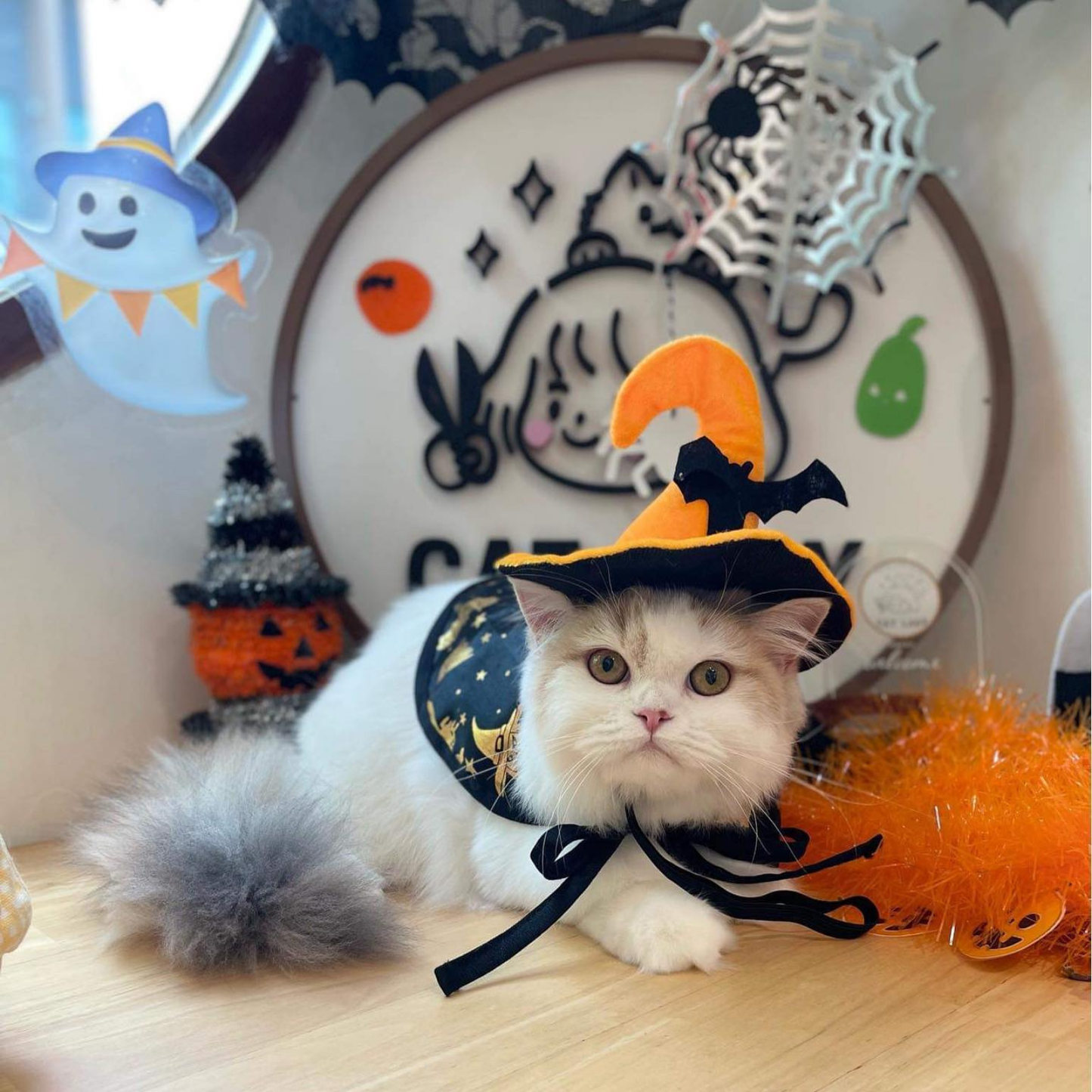Witch Cloak Hat Set For Cats Dogs Wizard Theme Halloween Party Pet Costume Cosplay
