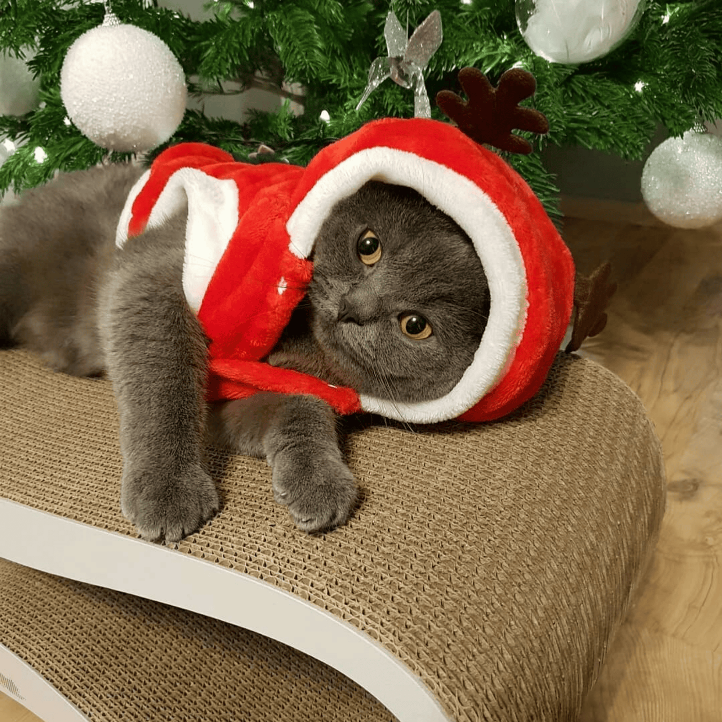 Santa Christmas Pet Costume Warm Jacket for Small Dogs Cats Winter Outfit Holiday Clothing