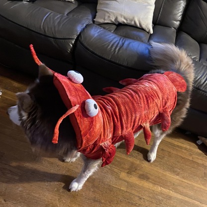 Crayfish Pet Costume Cat Hat Dog Clothes Autumn Winter Transform Outfit Halloween Cosplay