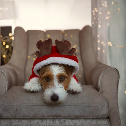 Santa Christmas Pet Costume Warm Jacket for Small Dogs Cats Winter Outfit Holiday Clothing