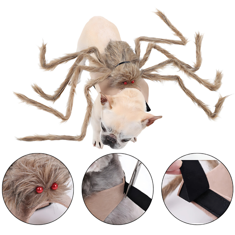 Big Spider Pet Costume for Dogs Cats Funny Halloween Cosplay Outfit Cute Pet Shirt