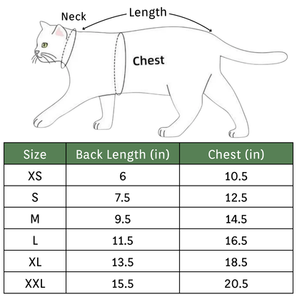 Funny Dinosaur Pet Costume Warm Fleece Hoodie for Cats Dogs Halloween Cosplay Outfit