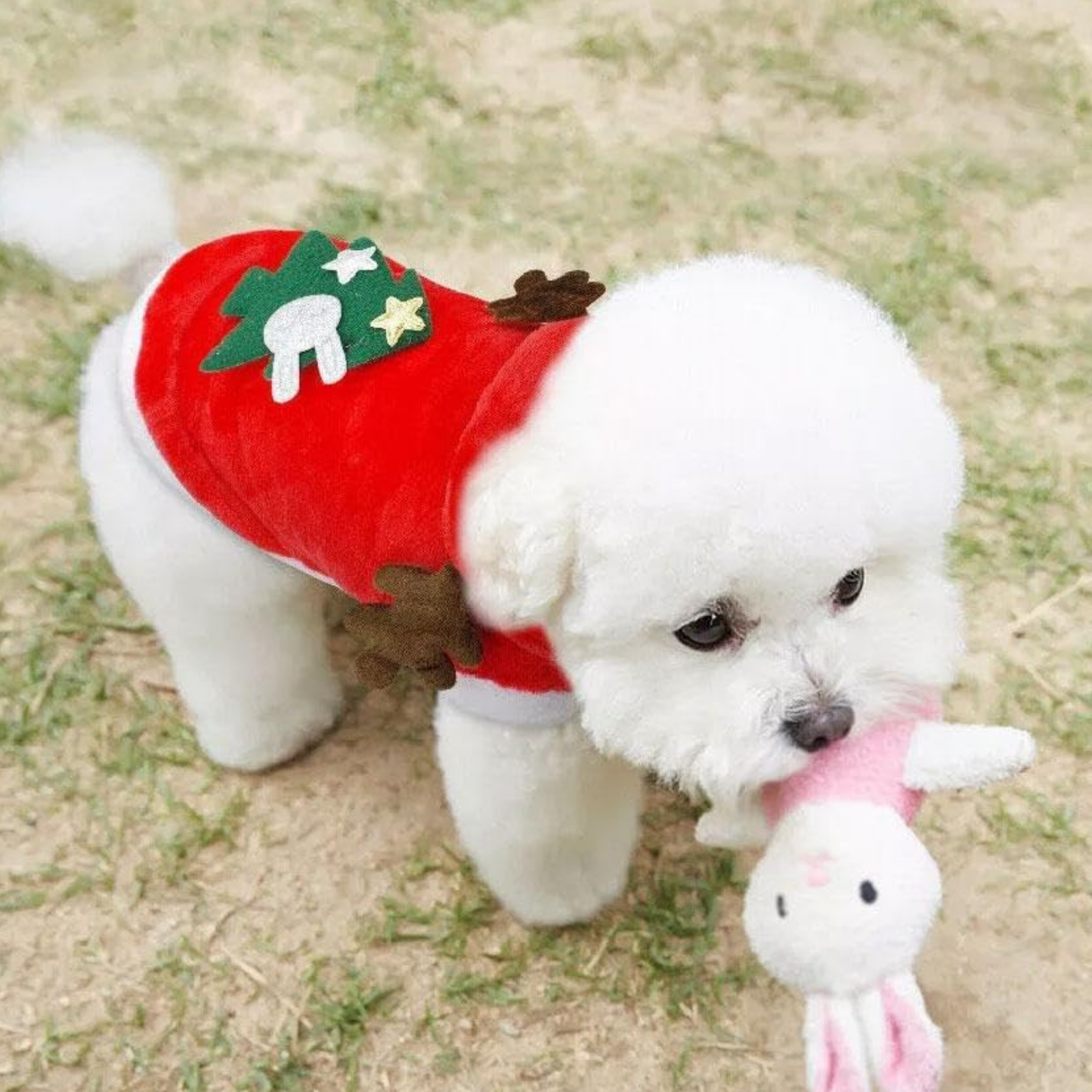 Santa Christmas Pet Costume Warm Jacket for Small Dogs Cats Winter Outfit Holiday Clothing