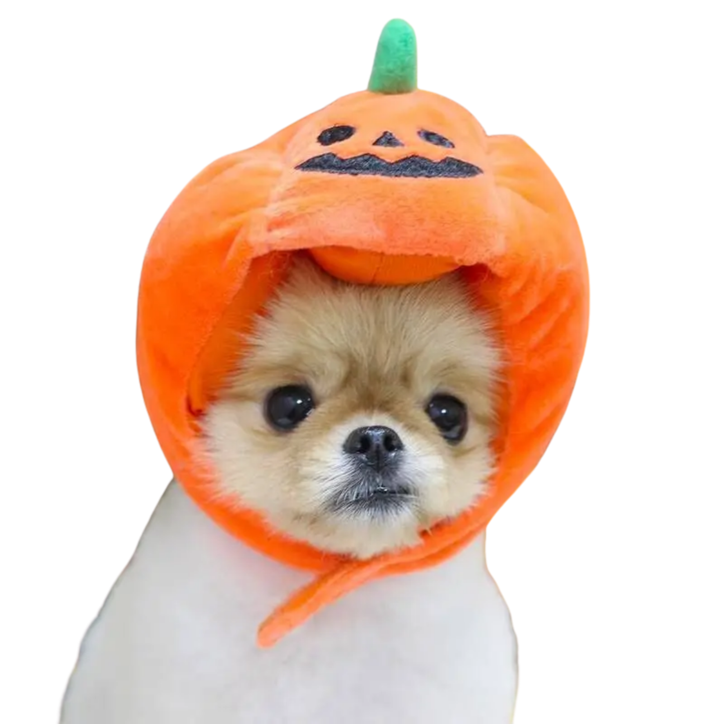 Pet Cat Dog Pumpkin Hat Halloween Ghost Festival Decoration Headwear Supplies Costume