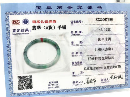 Yingmart 55mm SZ22067486 Certified Grade A Jade Light Green & Green, Natural Jadeite Bracelet, Vintage Jewelry, jade jewelry, Accessories