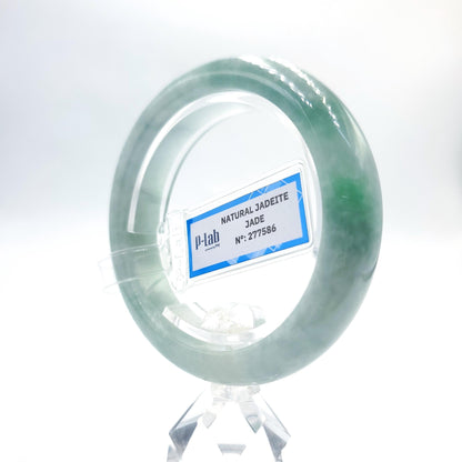 Certified 53mm PNJ277586 Real Jade Bangle | Natural Color Green-White to Green, Grey White Jadeite Bracelet for Men, Women, Grandma, Sister