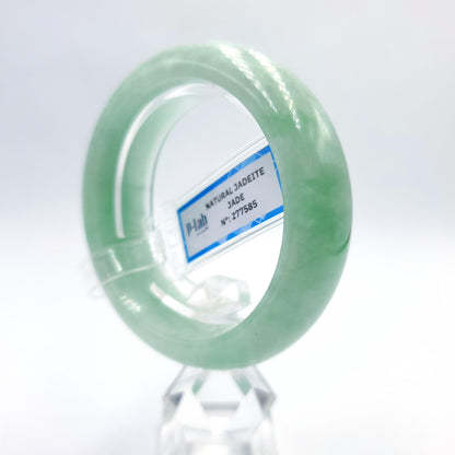 Natural Color Jade Bangle 50mm PNJ277585 | Green-White to Green Jadeite Jade Jewelry for Men, Women, Grandmother, Sister – Mothers day gift