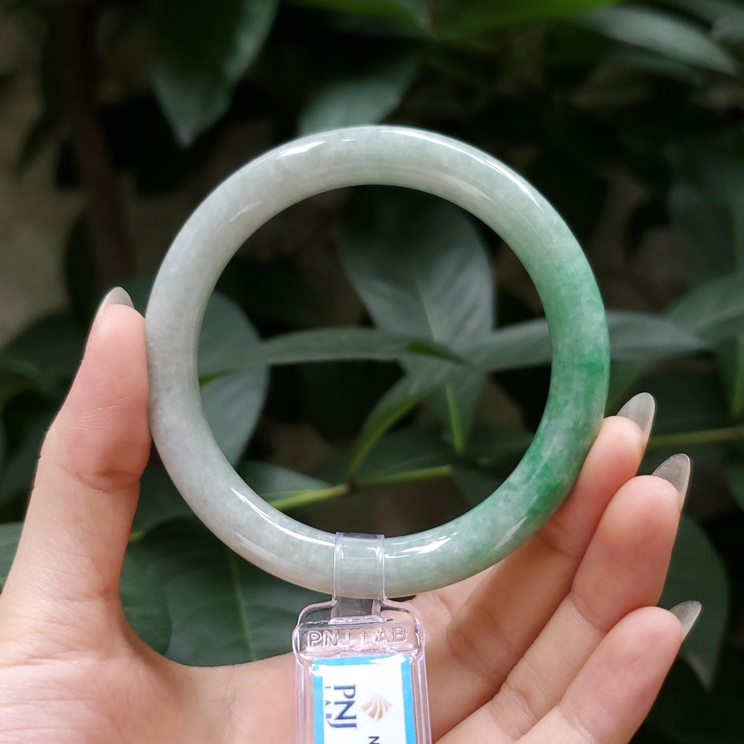 Yingmart  55mm PNJ Certified Natural Color Grey White Natural Jadeite Jade Bangle Bracelet, Real Gemstone, Gift for Her Mom Grandma Sister
