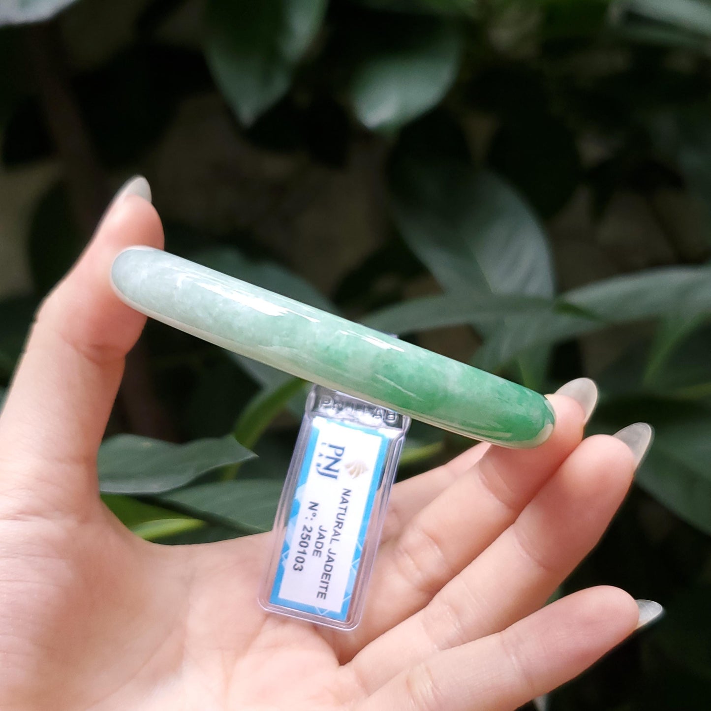 Yingmart  55mm PNJ Certified Natural Color Grey White Natural Jadeite Jade Bangle Bracelet, Real Gemstone, Gift for Her Mom Grandma Sister