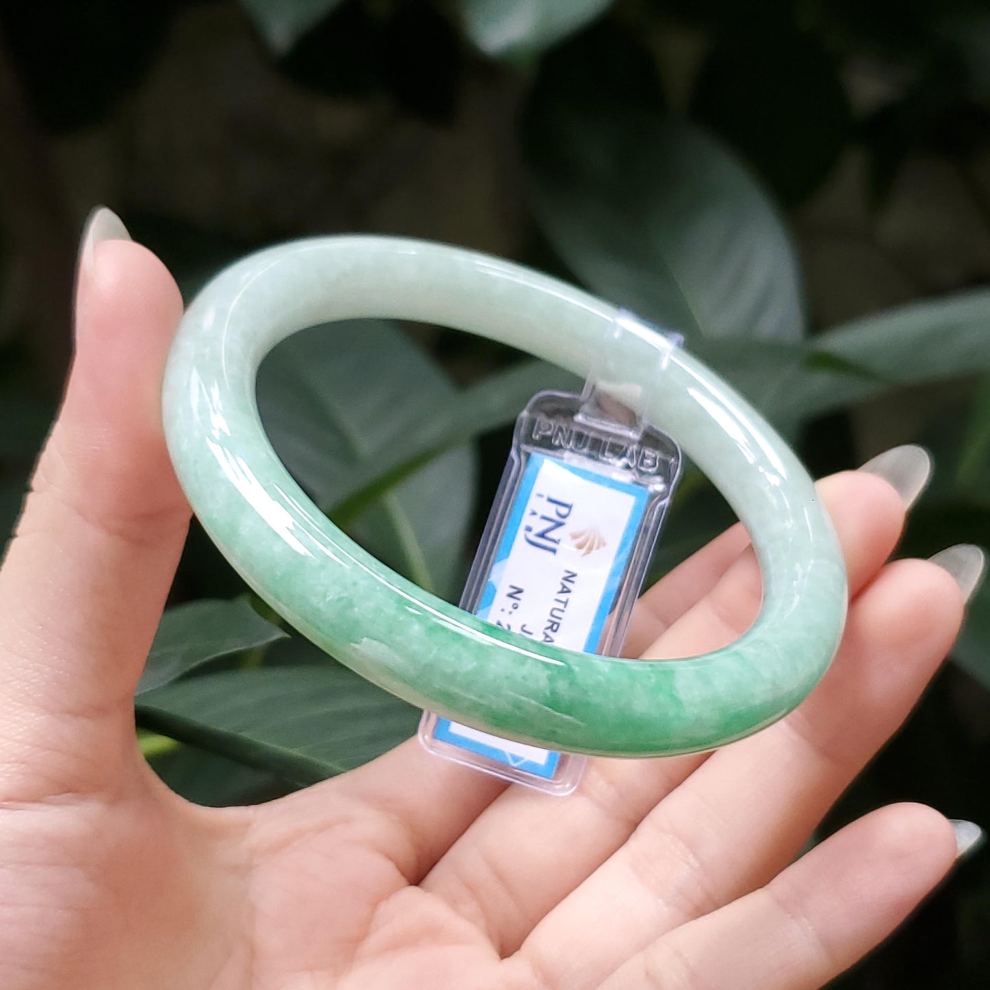 Yingmart  55mm PNJ Certified Natural Color Grey White Natural Jadeite Jade Bangle Bracelet, Real Gemstone, Gift for Her Mom Grandma Sister