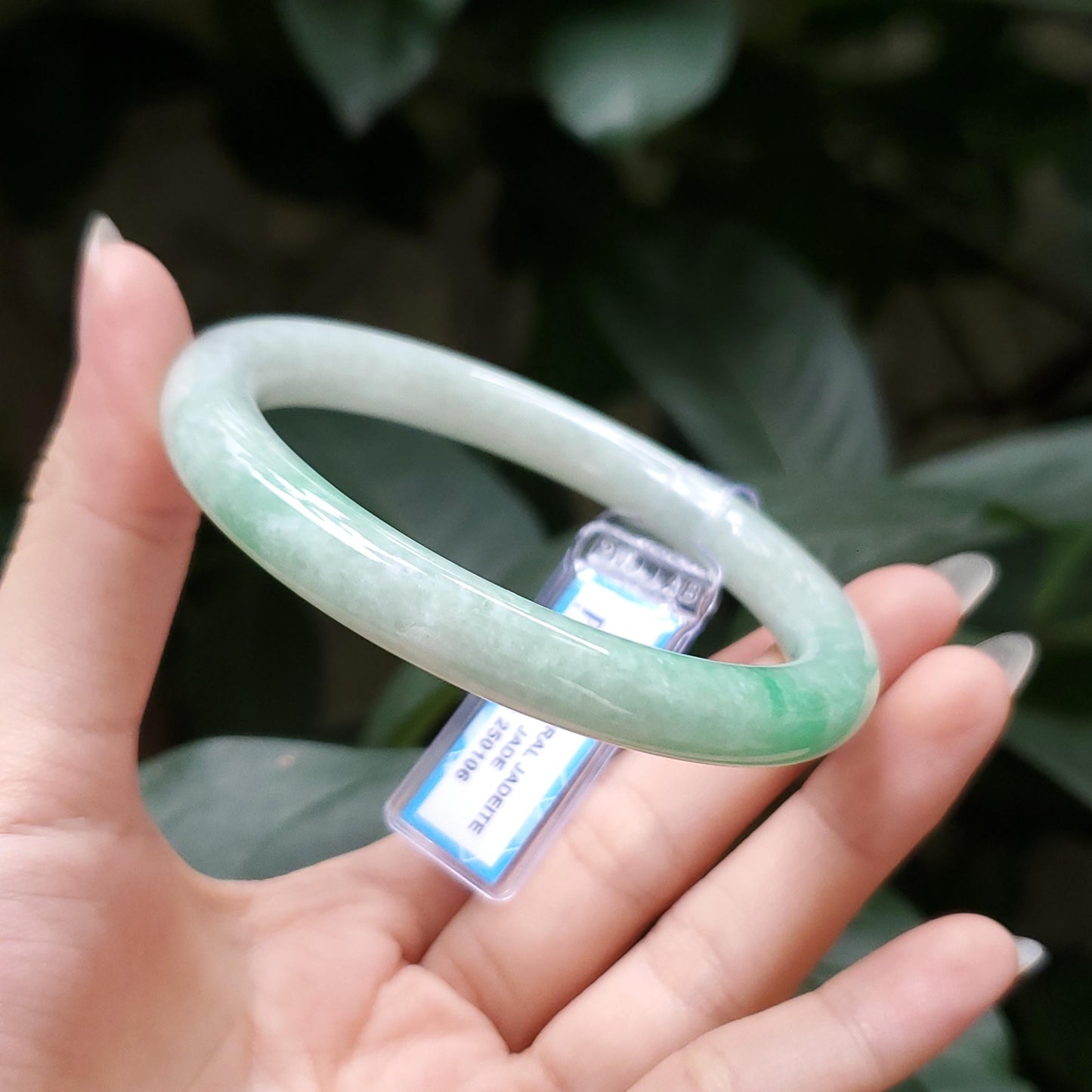Yingmart  56mm PNJ Certified Natural Color Grey White Natural Jadeite Jade Bangle Bracelet, Real Gemstone, Gift for Her Mom Grandma Sister