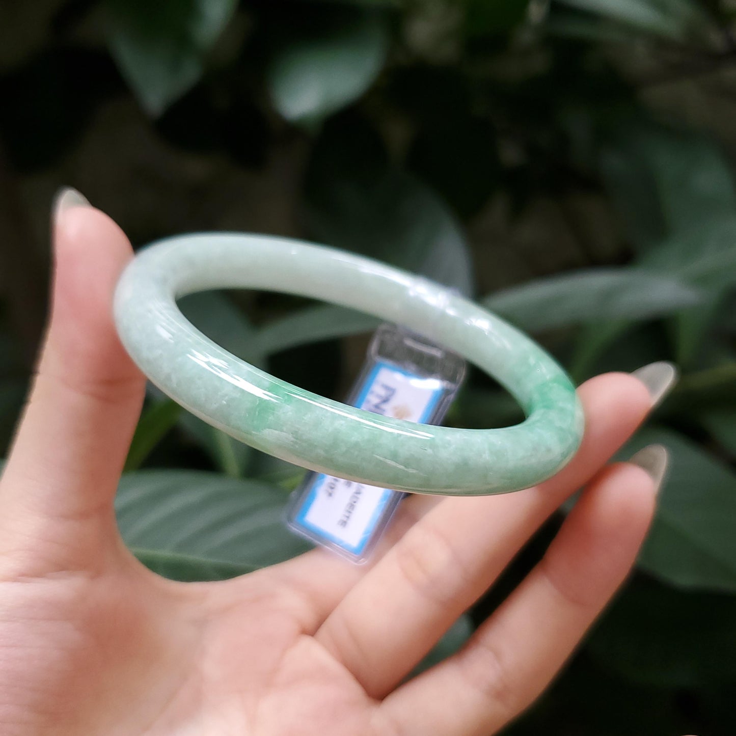 Yingmart  55mm PNJ Certified Natural Color Grey White Natural Jadeite Jade Bangle Bracelet, Real Gemstone, Gift for Her Mom Grandma Sister