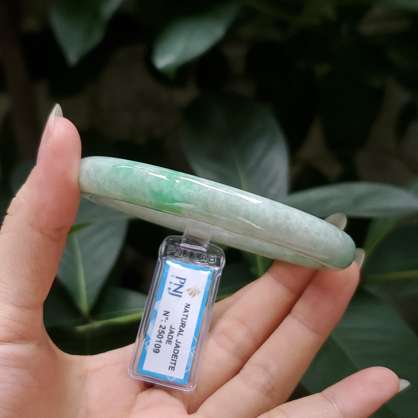 Yingmart  56mm PNJ Certified Natural Color Grey White Natural Jadeite Jade Bangle Bracelet, Real Gemstone, Gift for Her Mom Grandma Sister