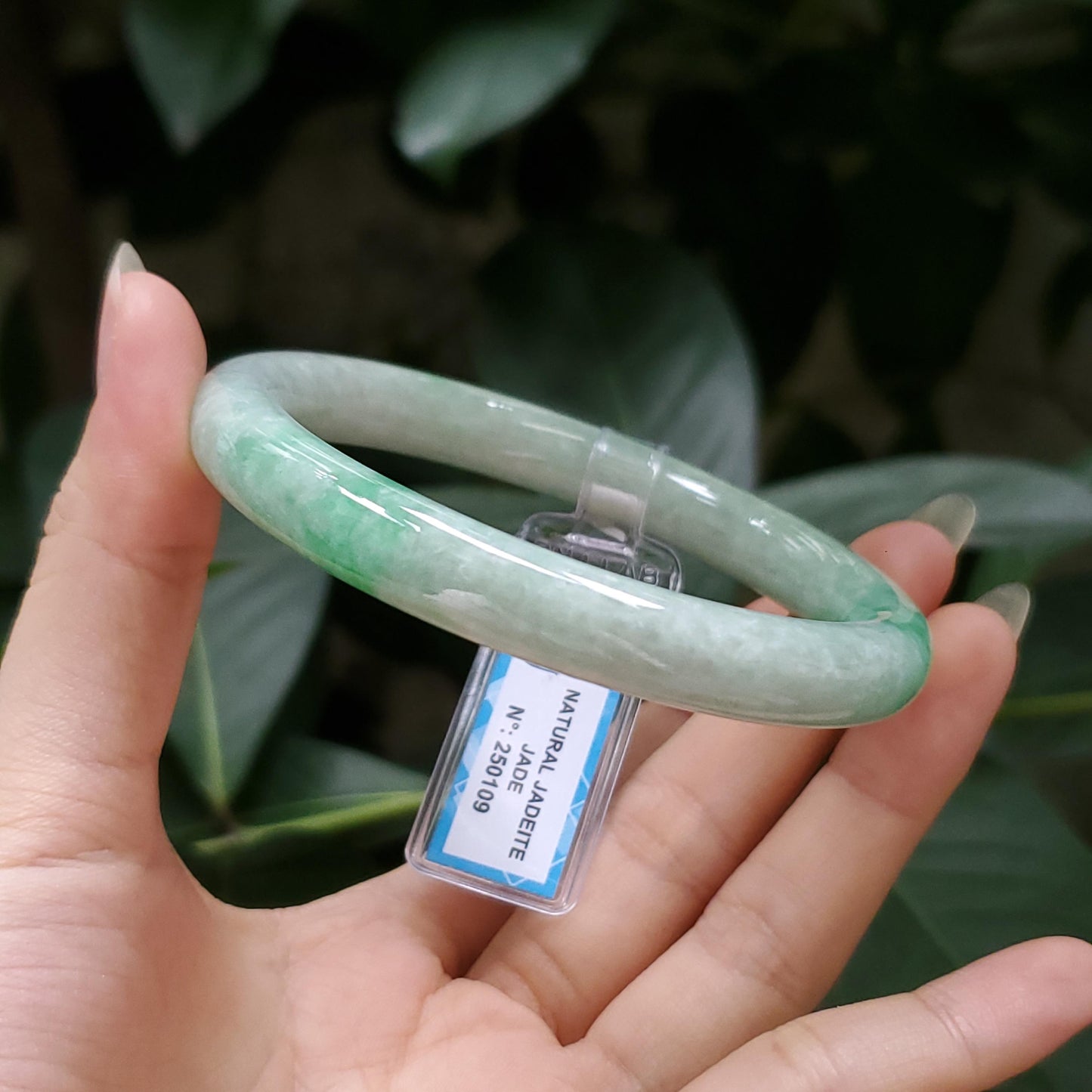 Yingmart  56mm PNJ Certified Natural Color Grey White Natural Jadeite Jade Bangle Bracelet, Real Gemstone, Gift for Her Mom Grandma Sister