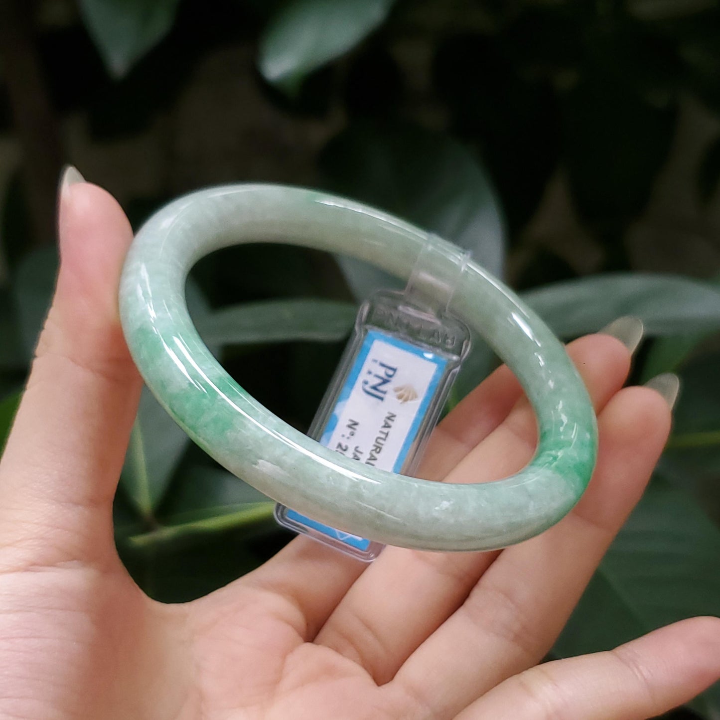 Yingmart  56mm PNJ Certified Natural Color Grey White Natural Jadeite Jade Bangle Bracelet, Real Gemstone, Gift for Her Mom Grandma Sister
