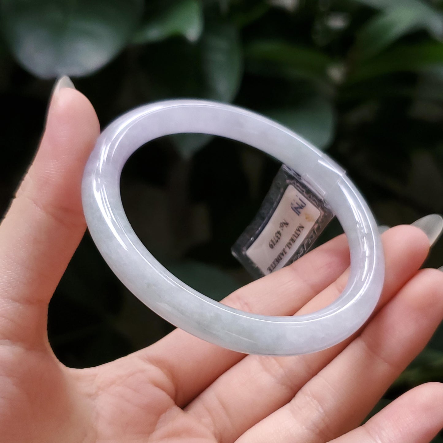 Yingmart  54mm PNJ Certified Natural Color Greenish Grey White Natural Jadeite Jade Bangle Bracelet, Real Gemstone, Gift for Her Mom Grandma