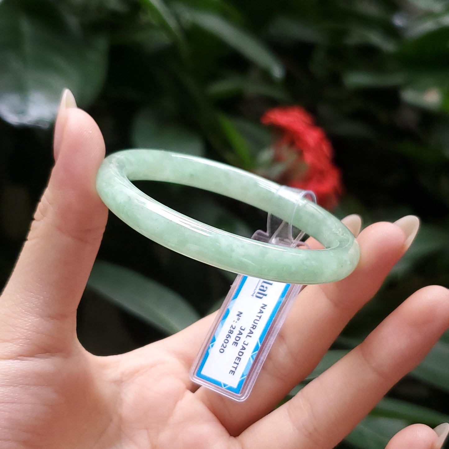 Yingmart  47mm PNJ Certified Natural Color Grey White Natural Jadeite Jade Bangle Bracelet, Real Gemstone, Gift for Her Mom Grandma Sister