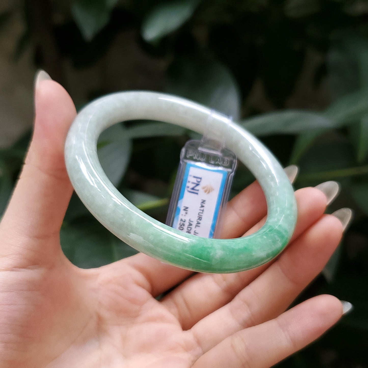 Yingmart  55mm PNJ Certified Natural Color Grey White Natural Jadeite Jade Bangle Bracelet, Real Gemstone, Gift for Her Mom Grandma Sister