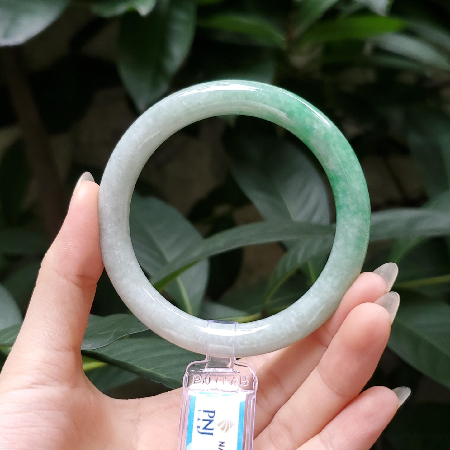 Yingmart  55mm PNJ Certified Natural Color Grey White Natural Jadeite Jade Bangle Bracelet, Real Gemstone, Gift for Her Mom Grandma Sister