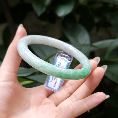 Yingmart  55mm PNJ Certified Natural Color Grey White Natural Jadeite Jade Bangle Bracelet, Real Gemstone, Gift for Her Mom Grandma Sister