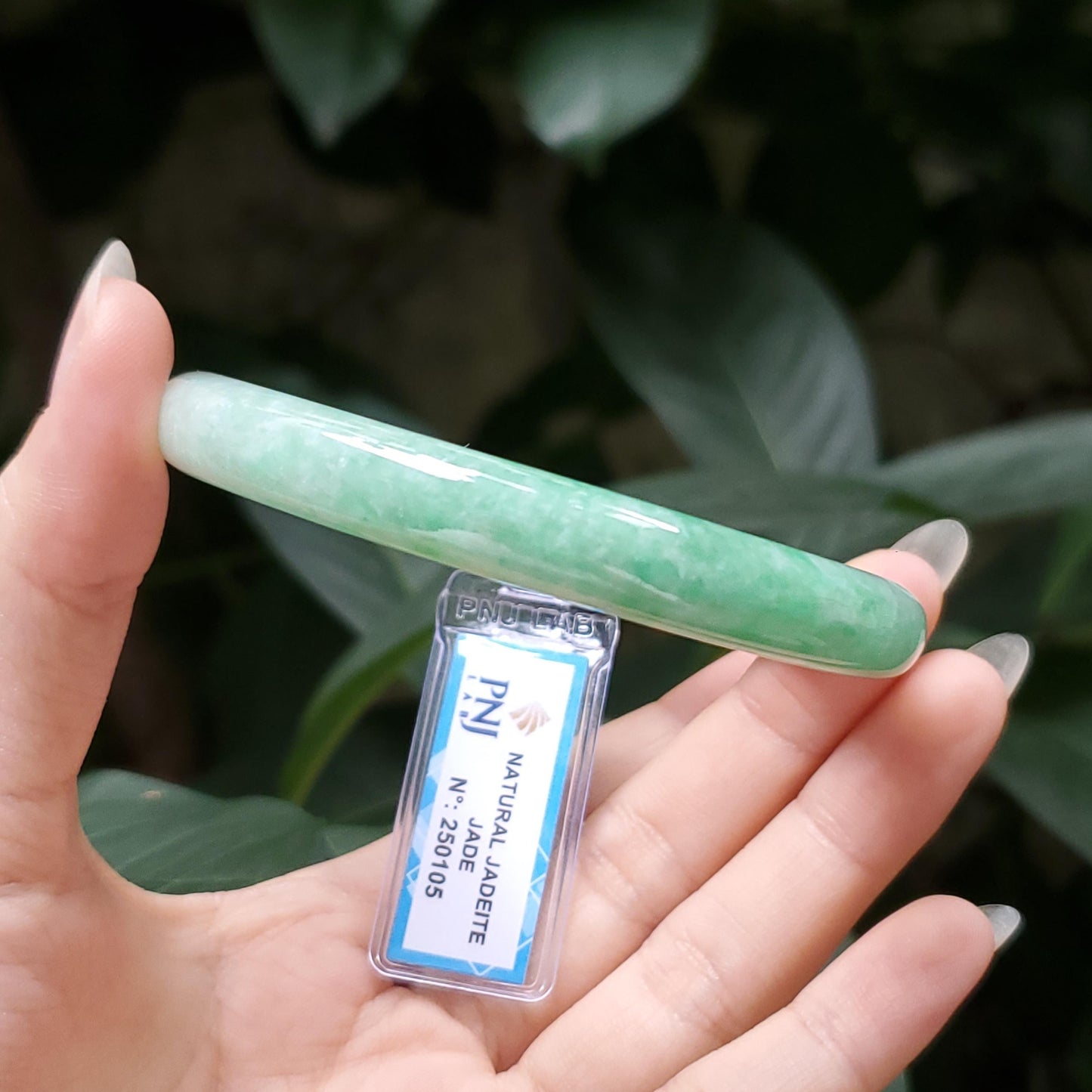 Yingmart  55mm PNJ Certified Natural Color Grey White Natural Jadeite Jade Bangle Bracelet, Real Gemstone, Gift for Her Mom Grandma Sister